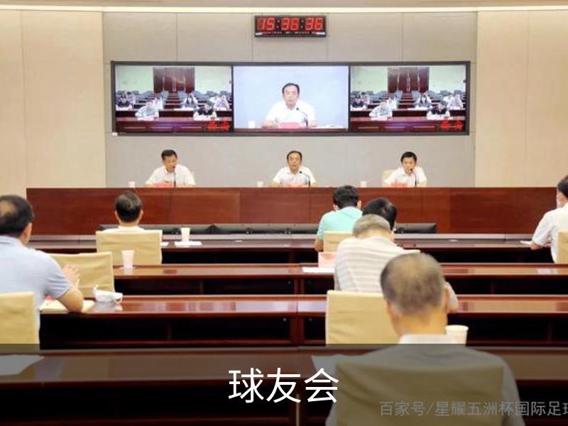 球友会概况